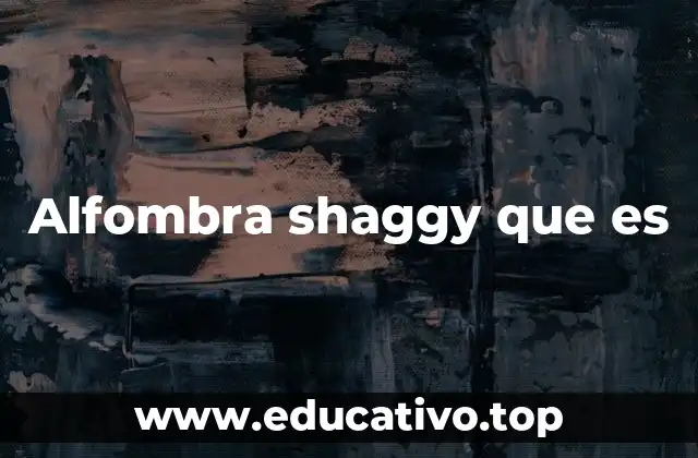 Alfombra shaggy que es