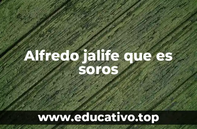 Alfredo jalife que es soros