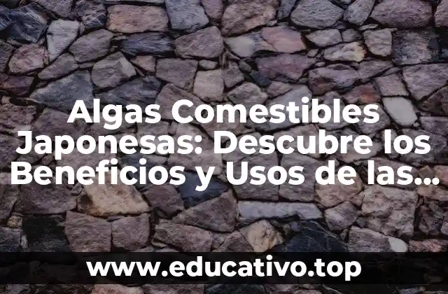 Algas Comestibles Japonesas: Descubre los Beneficios y Usos de las Algas en la Cocina Japonesa