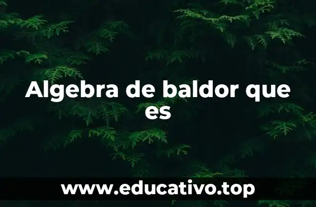 Algebra de baldor que es