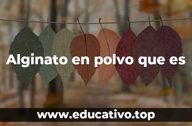 Alginato en polvo que es