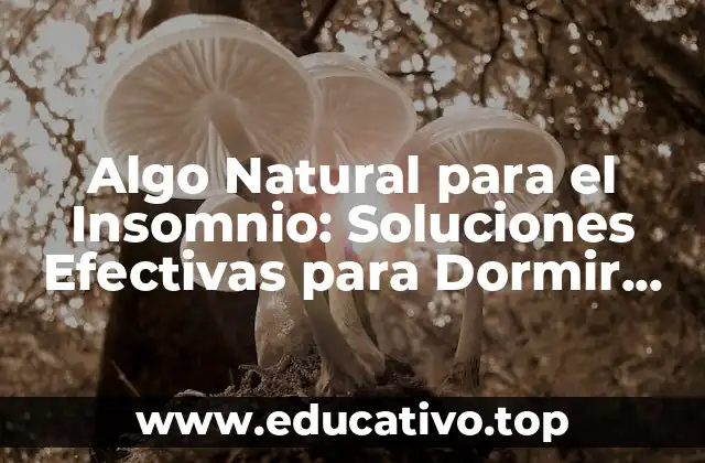 Algo Natural para el Insomnio: Soluciones Efectivas para Dormir Mejor