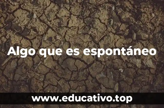 El valor de la espontaneidad en la vida cotidiana