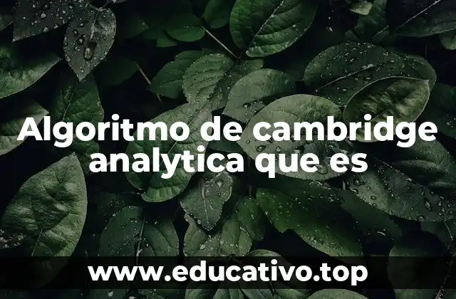 Algoritmo de cambridge analytica que es
