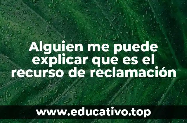 Alguien me puede explicar que es el recurso de reclamación
