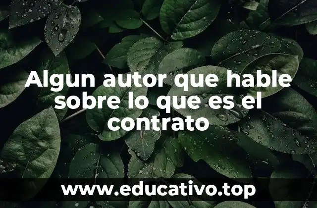 Algun autor que hable sobre lo que es el contrato