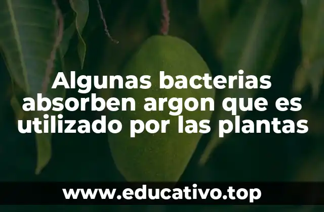 Algunas bacterias absorben argon que es utilizado por las plantas