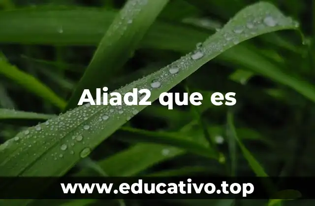 Aliad2 que es