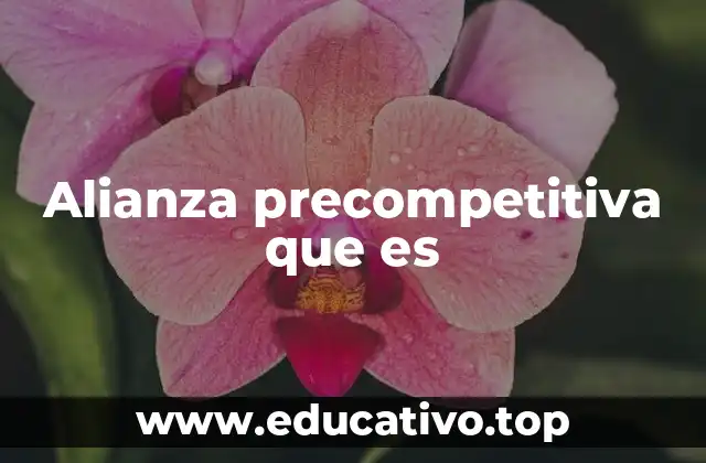 Alianza precompetitiva que es