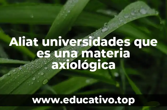 La importancia de la formación axiológica en la educación superior