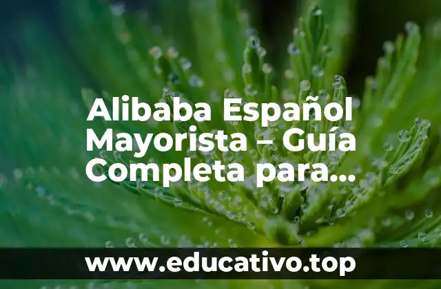 Alibaba Español Mayorista – Guía Completa para Compradores