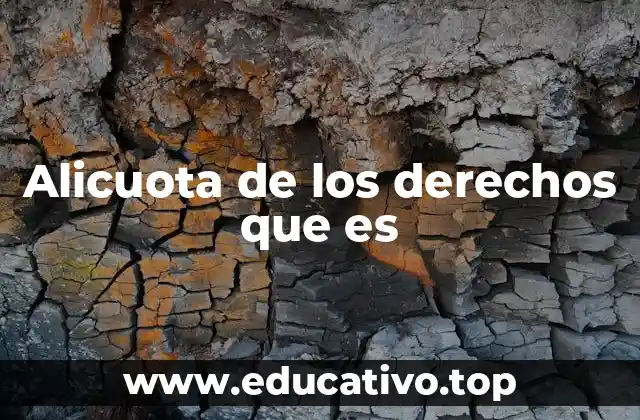 Alicuota de los derechos que es