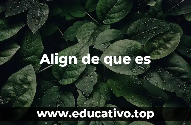 Align de que es