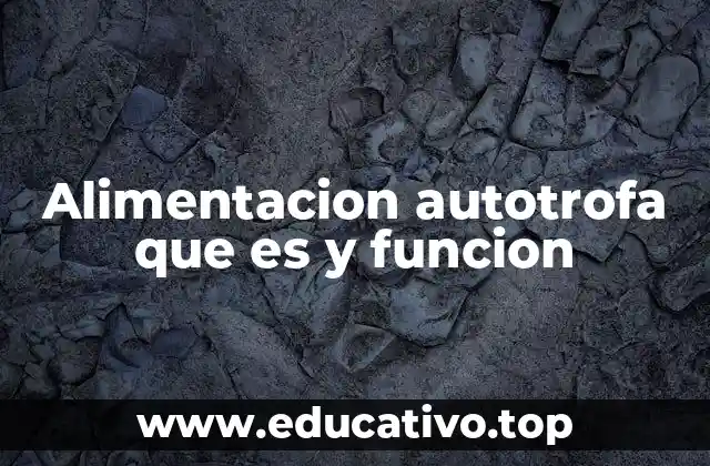 Alimentacion autotrofa que es y funcion