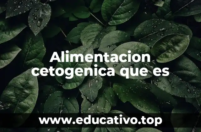 Alimentacion cetogenica que es