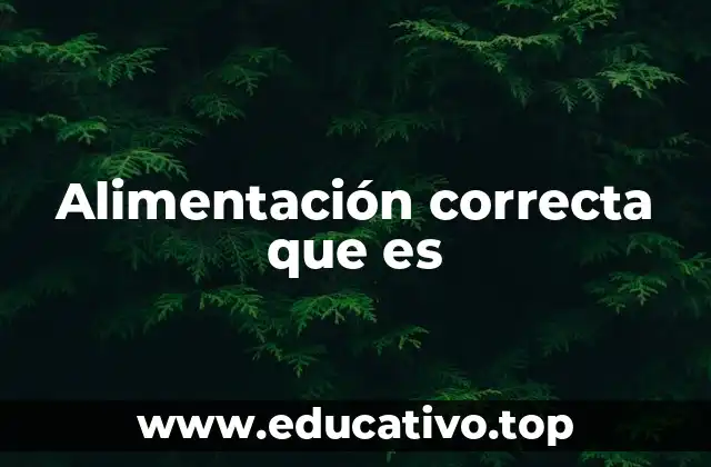 Alimentación correcta que es