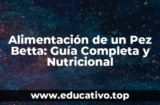 Alimentación de un Pez Betta: Guía Completa y Nutricional