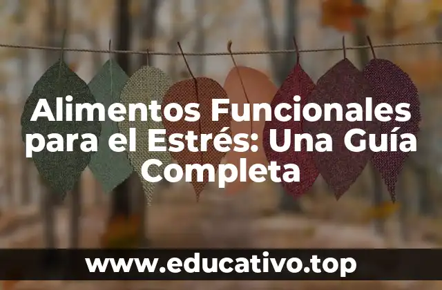 Alimentos Funcionales para el Estrés: Una Guía Completa
