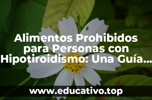 Alimentos Prohibidos para Personas con Hipotiroidismo: Una Guía Completa para una Salud Mejor