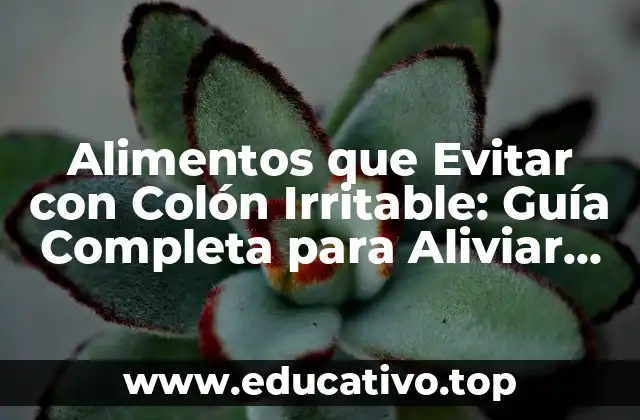 Alimentos que Evitar con Colón Irritable: Guía Completa para Aliviar los Síntomas
