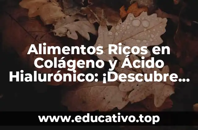 Alimentos Ricos en Colágeno y Ácido Hialurónico: ¡Descubre los Beneficios!