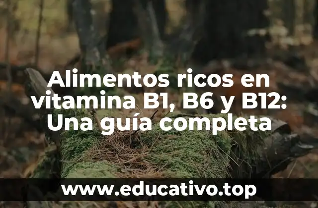 Alimentos ricos en vitamina B1, B6 y B12: Una guía completa