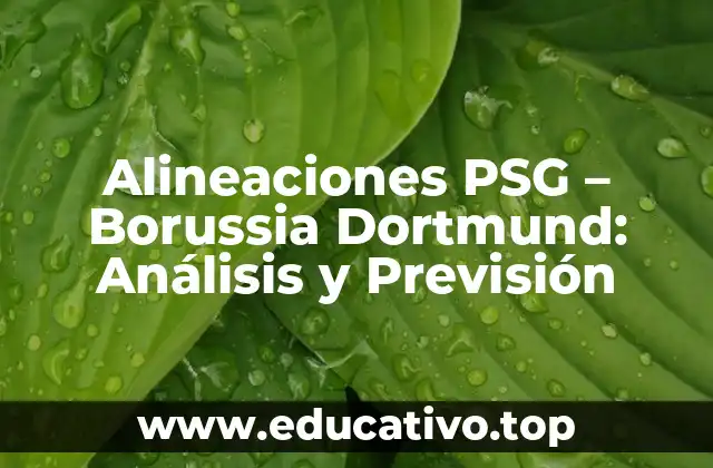 Alineaciones PSG – Borussia Dortmund: Análisis y Previsión