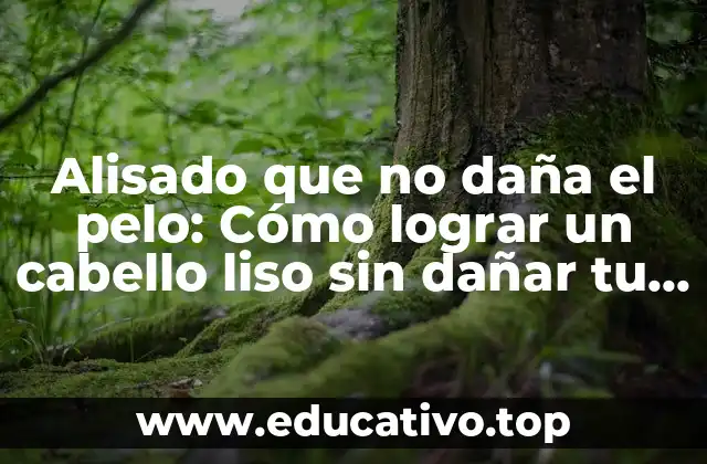 Alisado que no daña el pelo: Cómo lograr un cabello liso sin dañar tu melena