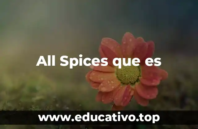 All Spices que es