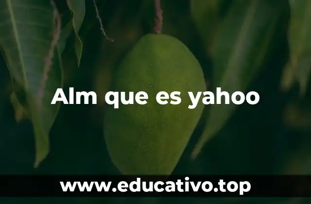 Alm que es yahoo