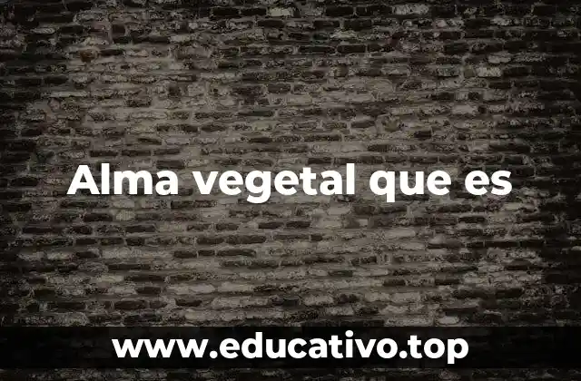 La conexión entre plantas y conciencia