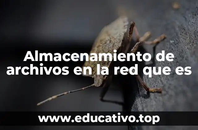 Almacenamiento de archivos en la red que es