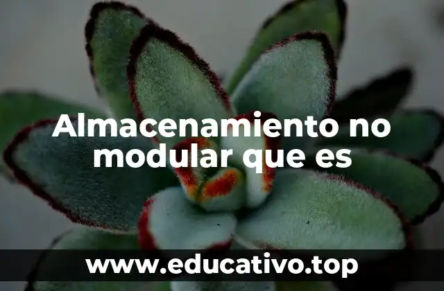 Almacenamiento no modular que es