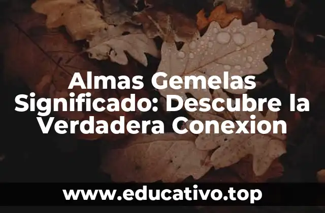 Almas Gemelas Significado: Descubre la Verdadera Conexion