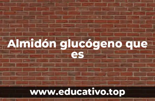 Almidón glucógeno que es