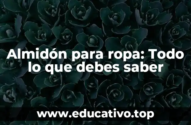 Almidón para ropa: Todo lo que debes saber