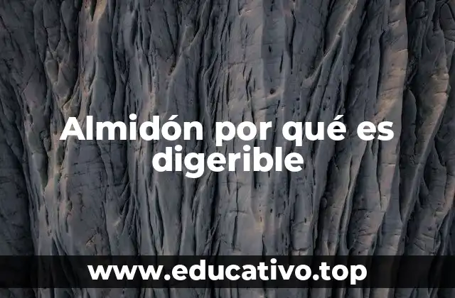 Almidón por qué es digerible