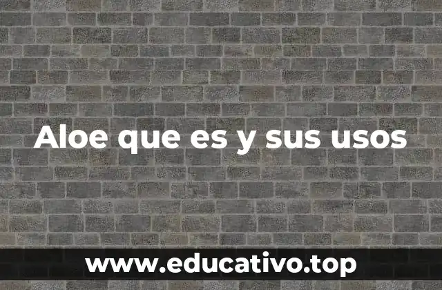 Aloe que es y sus usos