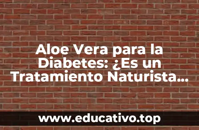 Aloe Vera para la Diabetes: ¿Es un Tratamiento Naturista Efectivo?