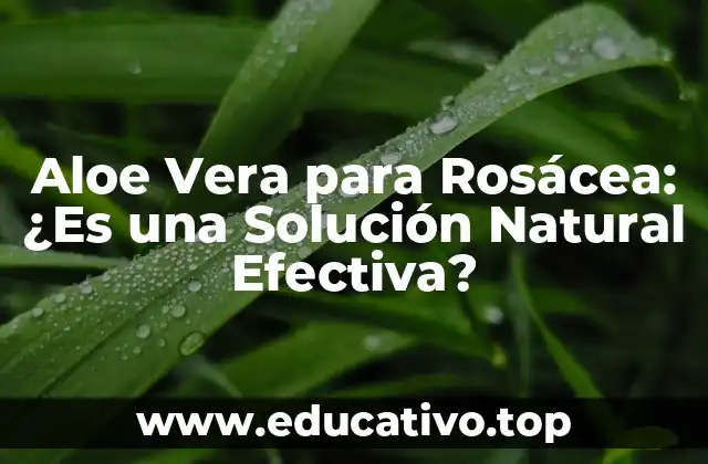 Aloe Vera para Rosácea: ¿Es una Solución Natural Efectiva?