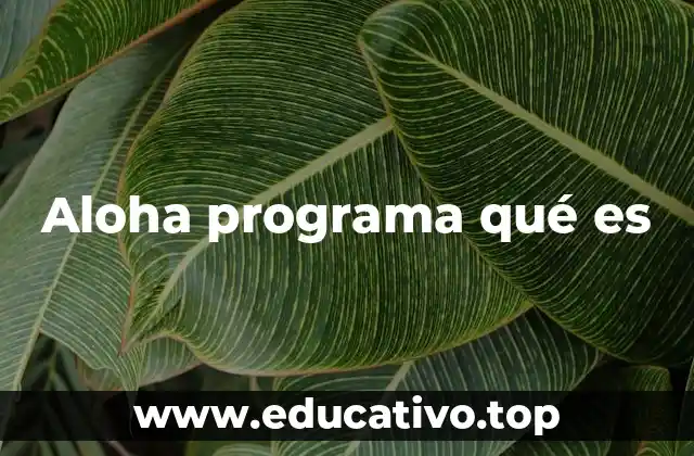 El impacto del uso de programas inspirados en Aloha
