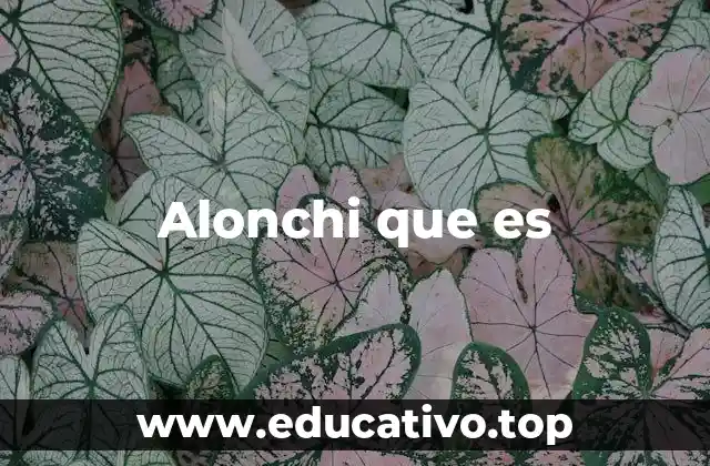 Alonchi que es
