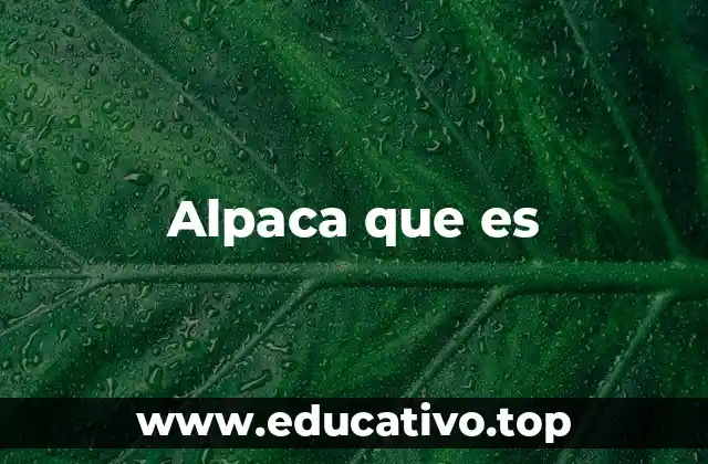 Alpaca que es