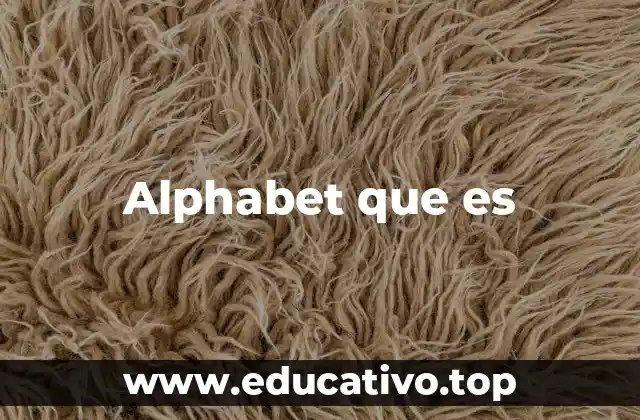 Alphabet que es