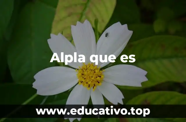 Alpla que es