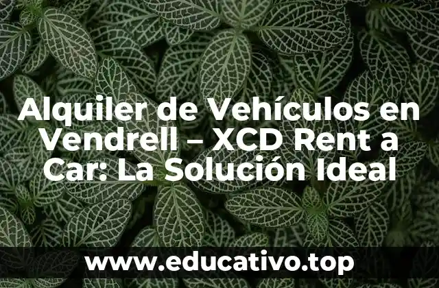 Alquiler de Vehículos en Vendrell – XCD Rent a Car: La Solución Ideal
