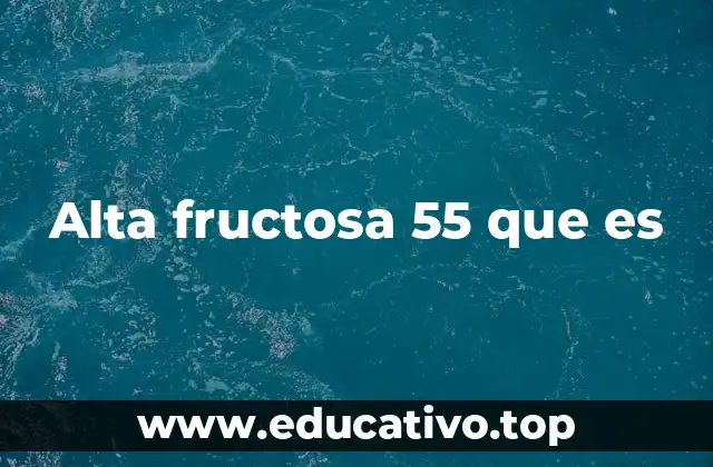 Alta fructosa 55 que es