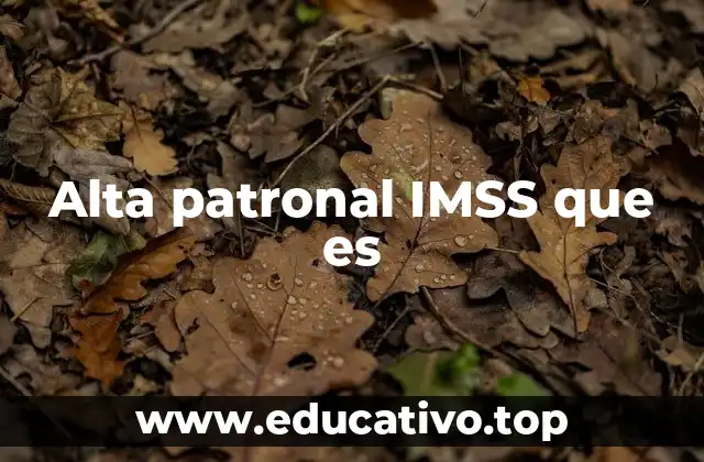 Alta patronal IMSS que es