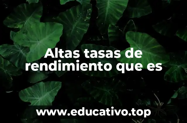 Altas tasas de rendimiento que es