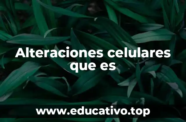 Cómo las alteraciones celulares afectan al organismo